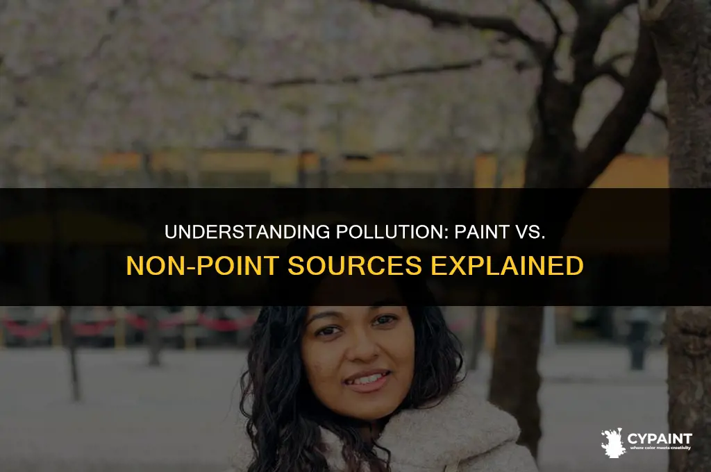 what is the difference between paint and non-point sources