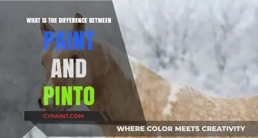 Paint vs. Pinto: Understanding the Key Differences and Uses