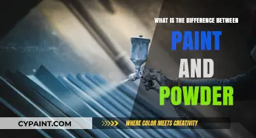 Paint vs. Powder: Understanding the Key Differences and Best Uses