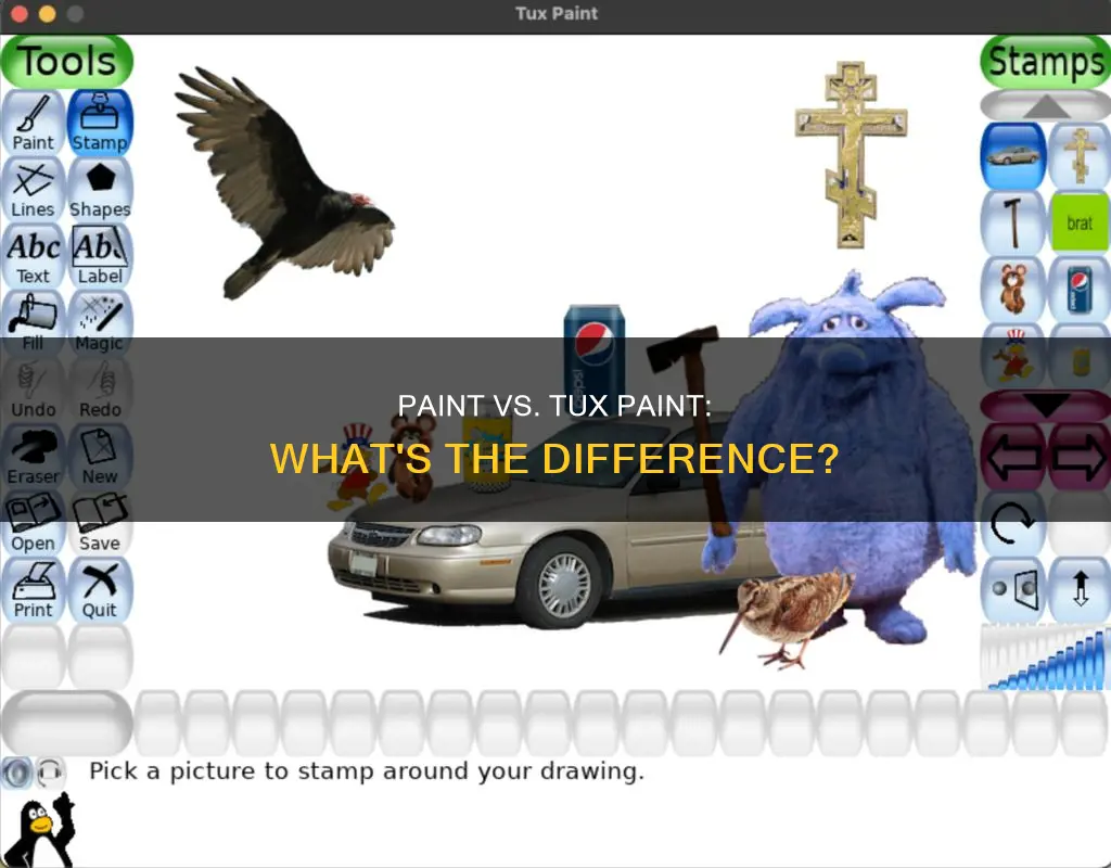what is the difference between paint and tux paint