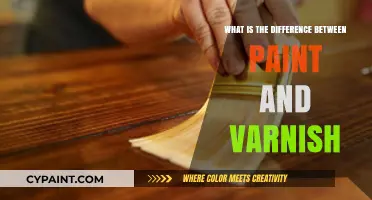 Paint vs. Varnish: Understanding the Key Differences and Best Uses