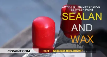 Sealant or Wax: Which is the Better Option?