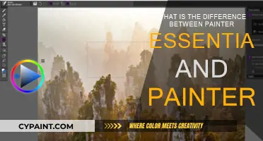 Essentials vs Painter: Unlocking the Full Potential