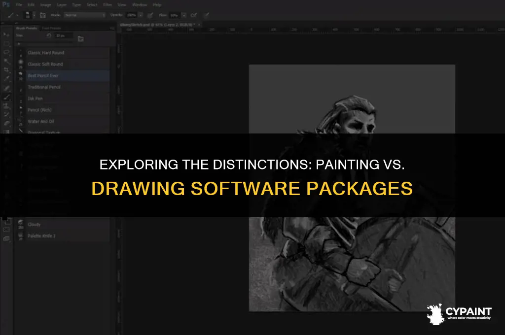 what is the difference between painting packages and drawing packages
