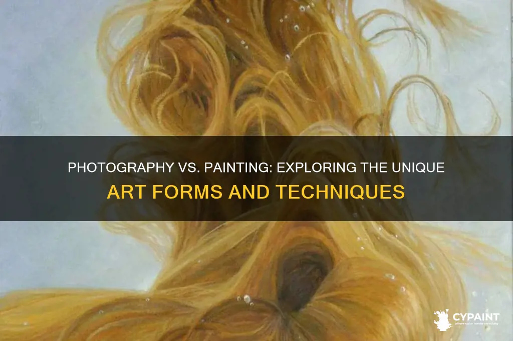 what is the difference between photography and painting
