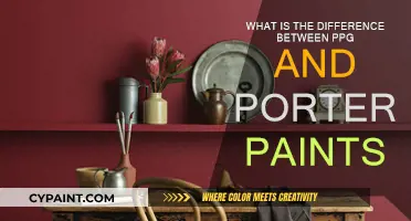 PPG vs Porter Paints: What's the Real Difference?