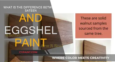 Sateen vs. Eggshell Paint: Know the Finish Difference
