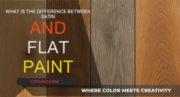 Satin vs. Flat Paint: Exploring the Finish Differences