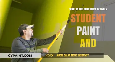 Student Paint vs. Professional: Key Differences Explained for Artists