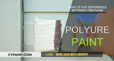 Urethane vs Polyurethane Paint: What's the Difference?