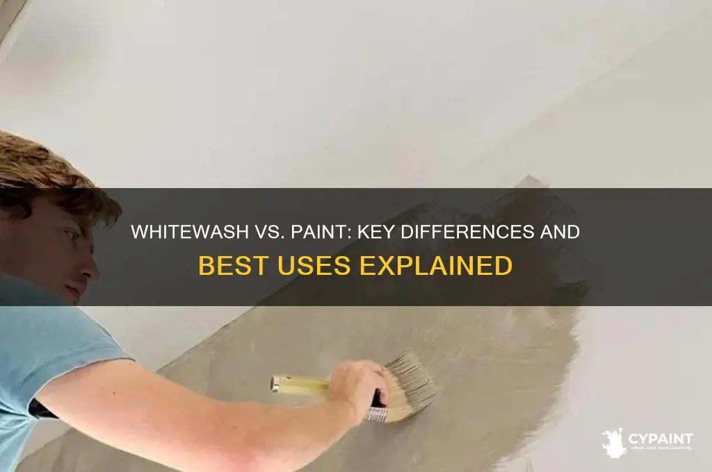 what is the difference between whitewash and paint