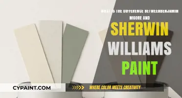 Exploring the Distinctions: Benjamin Moore vs. Sherwin-Williams Paint