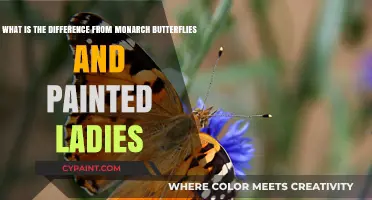 Monarch Butterflies vs. Painted Ladies: A Comparison of Beauty