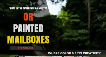 Galvanized vs. Painted Mailboxes: Which Option Suits Your Needs Best?