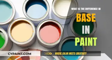Understanding Paint Bases: Key Differences and Their Impact on Finish