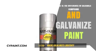 Unveiling the Distinctions: Galvanize Compound vs. Galvanize Paint