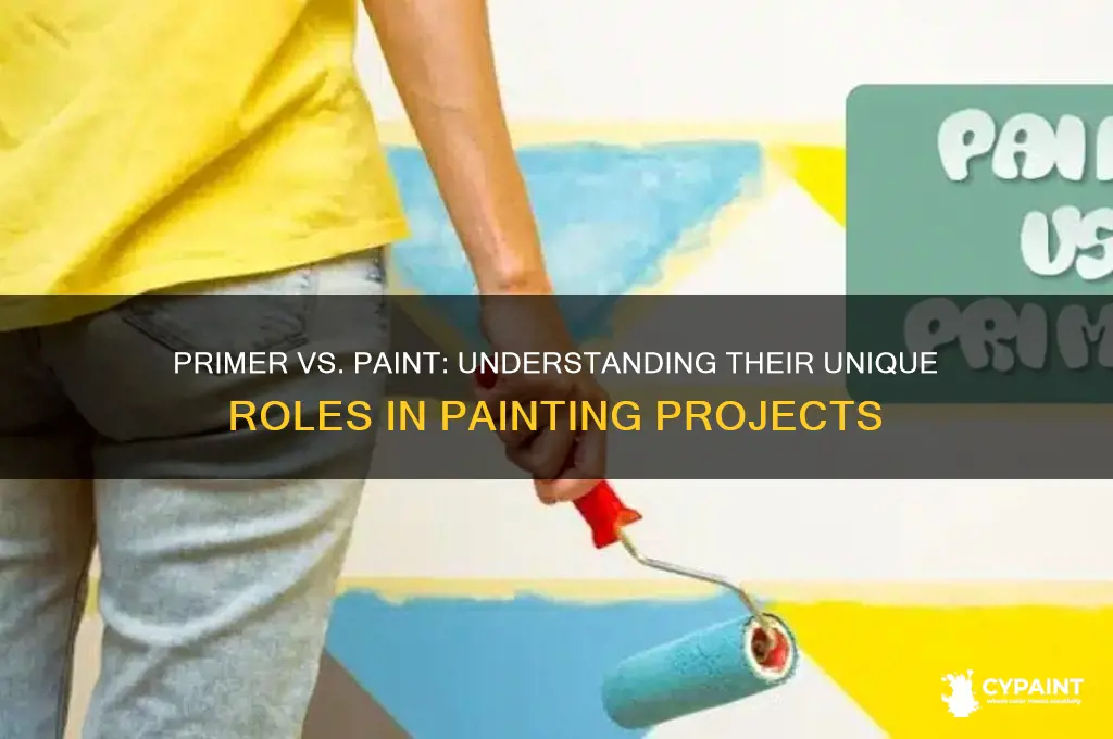what is the difference in primer and paint