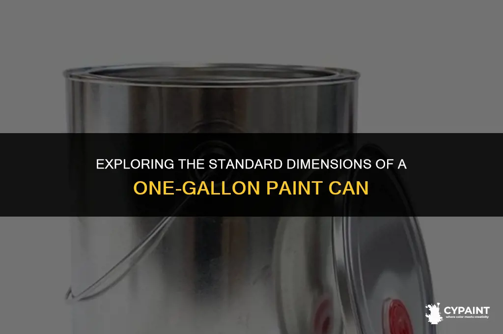 what is the dimensions of a one gallon paint can