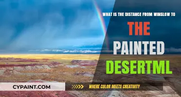 Exploring the Scenic Route: Winslow to the Painted Desert
