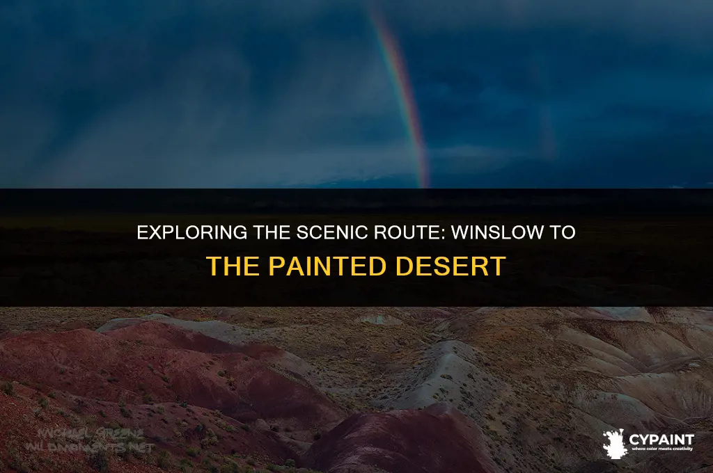 what is the distance from winslow to the painted desertmlm
