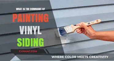 Painting Vinyl Siding: Hidden Costs and Long-Term Maintenance Challenges