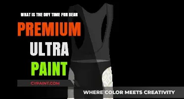 Quick-Dry Elegance: Bear Premium Ultra Paint's Rapid Finish