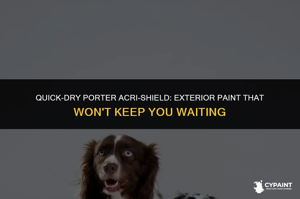what is the dry time for porter acri-shield exterior paint