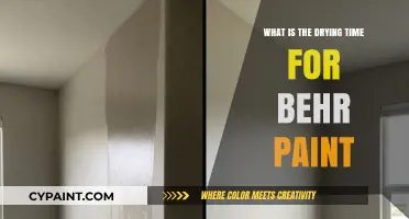 Behr Paint Drying Time: Quick Guide for Perfect Results