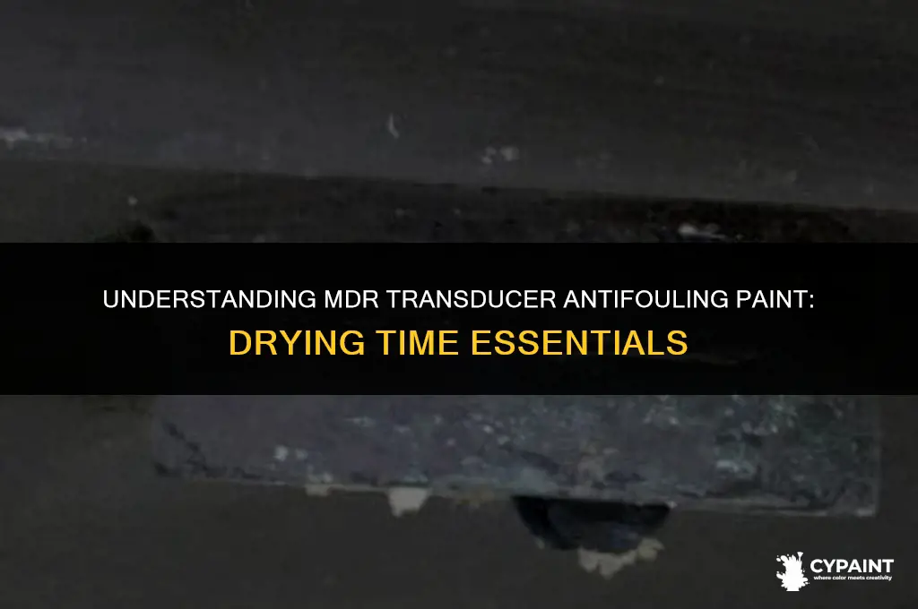 what is the drying time for mdr transducer antifouling paint
