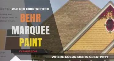Quick Dry or Long Wait? Behr Marquee Paint's Drying Time Revealed