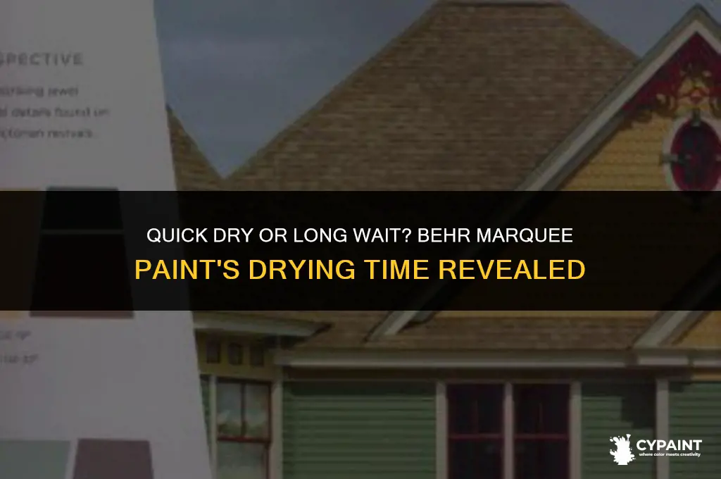 what is the drying time for the behr marquee paint