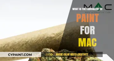 Discover Mac's Best Paint Alternative: Top Creative Tools for Artists