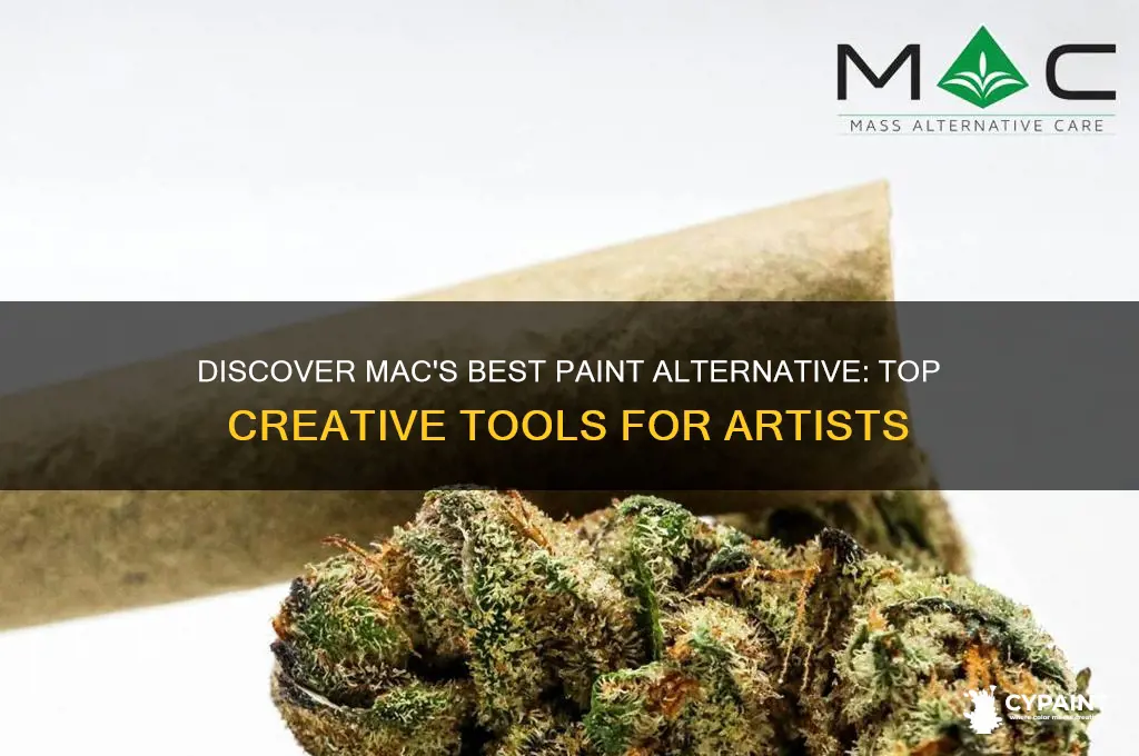 what is the equivalent of paint for mac