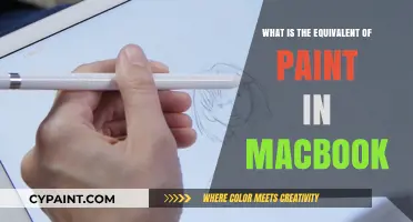 MacBook's Paint Alternative: Discover the Best Creative Tool for You