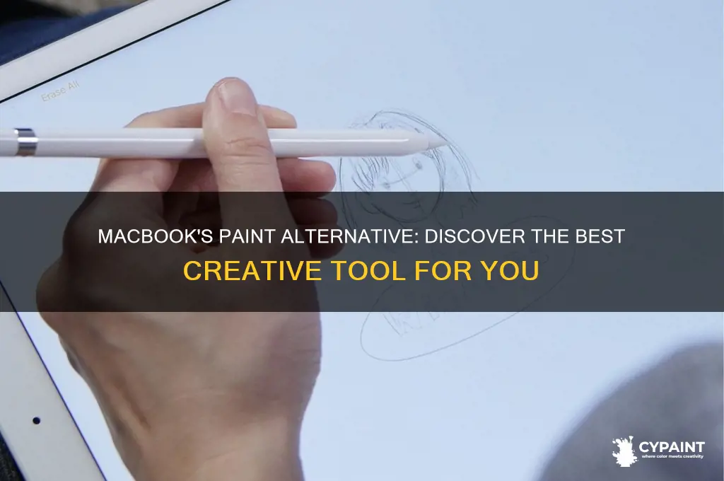 what is the equivalent of paint in macbook