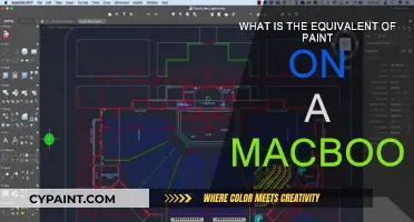 Mac Users: Paint Equivalent for Your MacBook