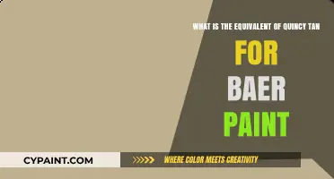 Exploring Paint Equivalents: Quincy Tan's Match in Baer's Palette