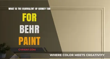 Exploring Behr's Palette: The Perfect Match for Quincy Tan