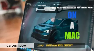 Exploring Mac Alternatives: A Guide to Microsoft Paint Equivalents
