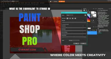 Mastering PaintShop Pro: Discover the Ultimate Stroke Equivalent