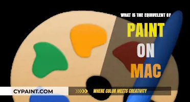 Discover Mac's Paint Alternative: Creative Tools for Digital Artists