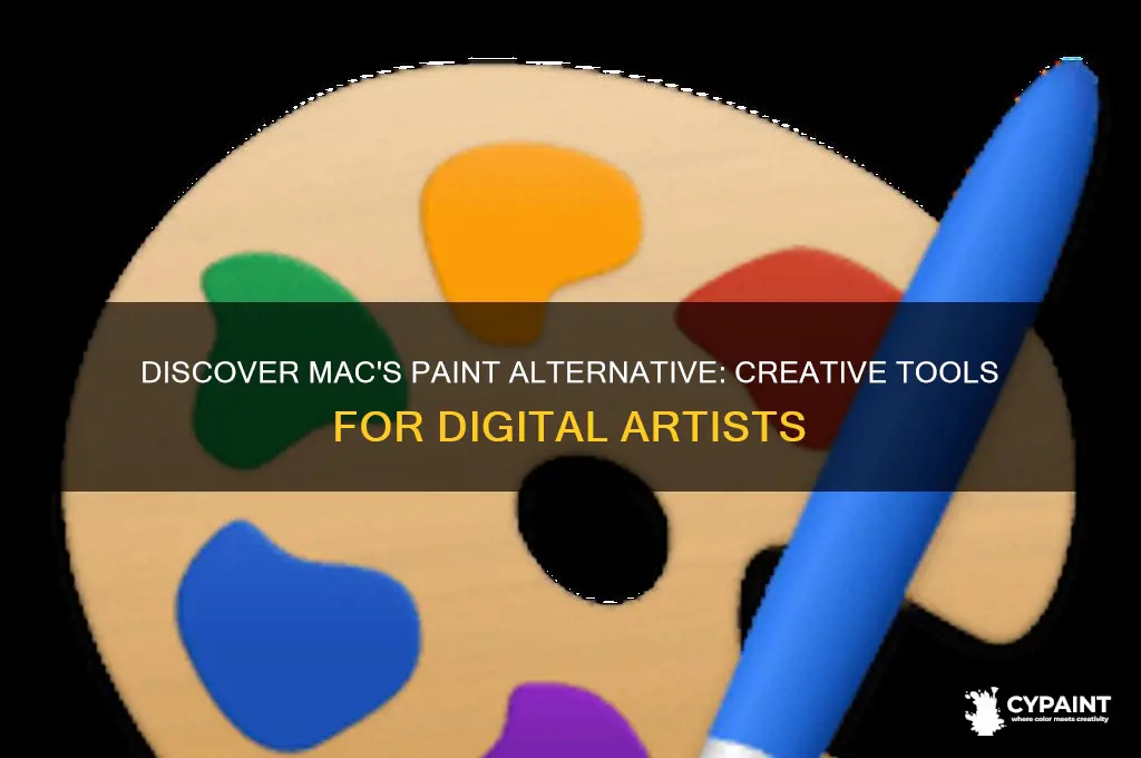 what is the equivelent of paint on mac