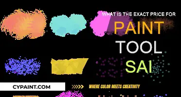 The Cost of Paint Tool SAI: How Much?