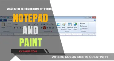 Exploring the File Extensions of WordPad, Notepad, and Paint