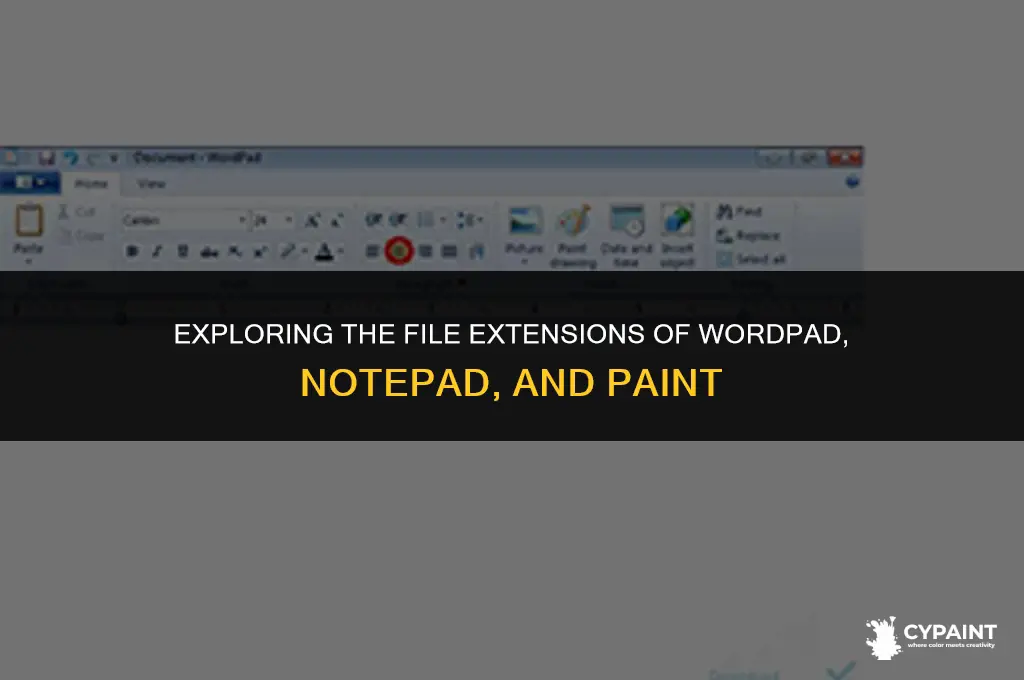 what is the extension name of wordpad notepad and paint