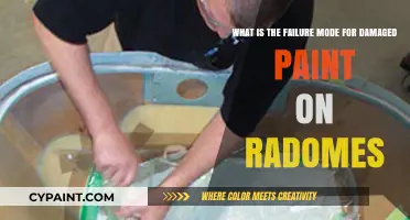 Understanding the Failure Modes of Damaged Paint on Radomes