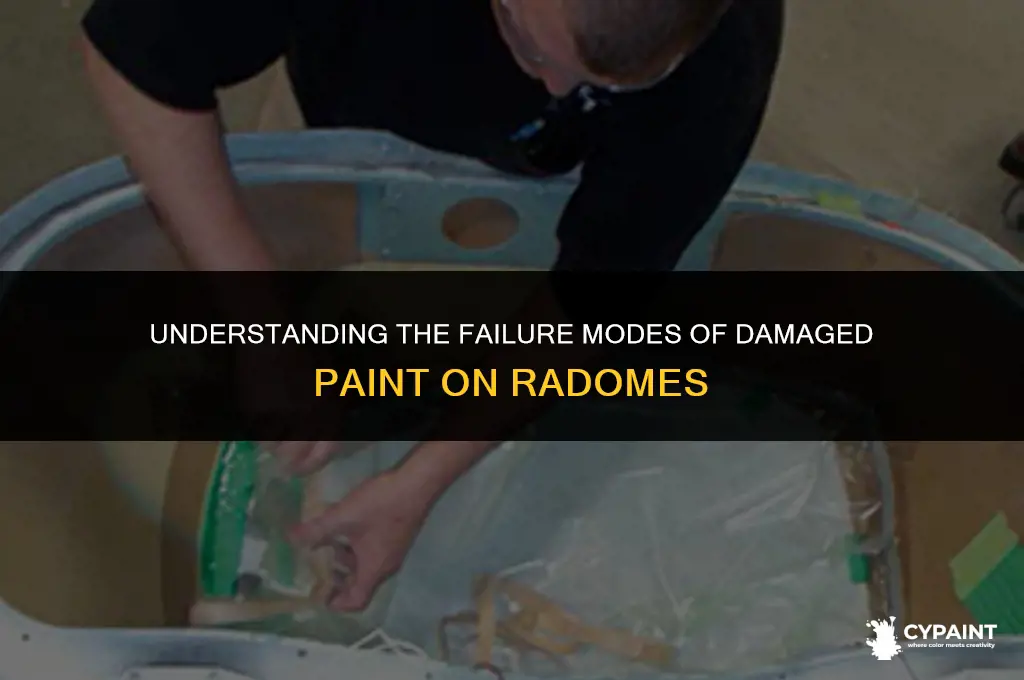 what is the failure mode for damaged paint on radomes