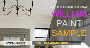 Sherwin-Williams Paint Samples: The Ultimate Finish Guide