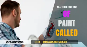 Understanding the Purpose and Name of the Initial Paint Layer
