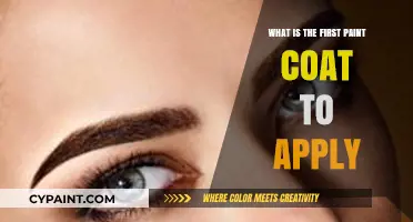 Essential First Paint Coat: Primer Application Tips for Perfect Results